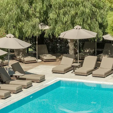 Contessa Hotel 3*